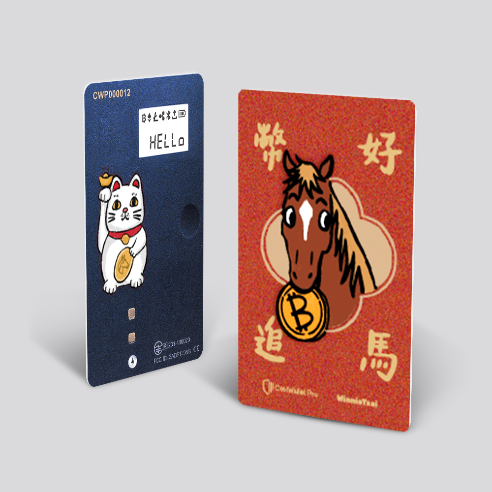 CoolWallet Pro